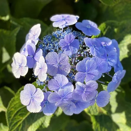 Feriehus Familiale A - 6 Personnes *